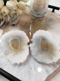 Excellence Collection- White Quartz & Moonstone Tray with Black Handles/ 2 Coasters