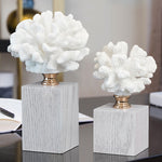 Modern Coral Wood Stands